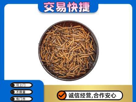 温州市苍南高价回收散虫草