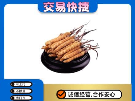 温州市苍南回收冬虫夏草多少钱每克